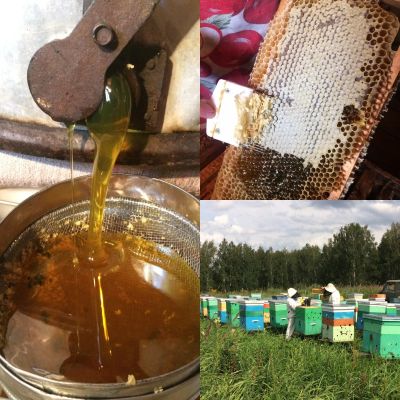 Лот: 1174885. Фото: 1. Свежий натуральный Мёд, сбор 2020... Мёд, продукты пчеловодства