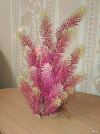 Лот: 12835590. Фото: 1. Водоросли для аквариума искусственные... Водные растения