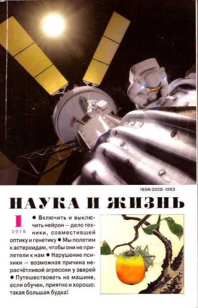 Лот: 15747390. Фото: 1. Научно-популярный журнал «Наука... Другое (журналы, газеты, каталоги)