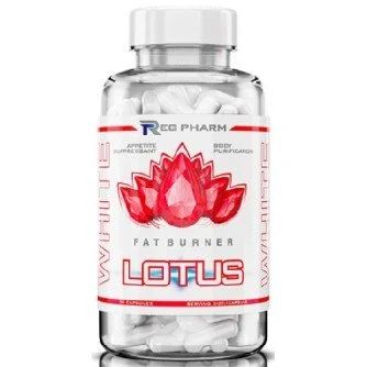 Лот: 15235198. Фото: 1. Lotus White от Reg Pharm 90 капс... Спортивное питание, витамины