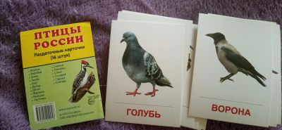 Лот: 17731762. Фото: 1. Карточки птицы России. Познавательная литература