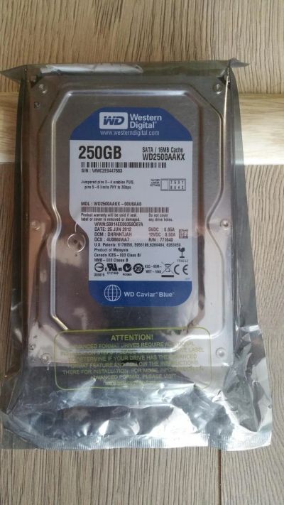 Лот: 11093485. Фото: 1. WD2500. Жёсткие диски (HDD)