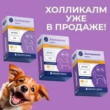 Лот: 23602076. Фото: 1. Холликалм для собак 24 мг., 1... Лекарства для животных, ветеринарные препараты