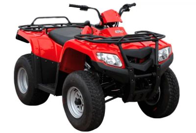 Лот: 25364860. Фото: 1. Квадроцикл LONCIN 200. Снегоходы, квадроциклы