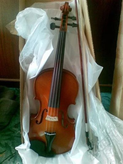 Лот: 9002574. Фото: 1. Румынская скрипка Genial Violins... Другие струнные