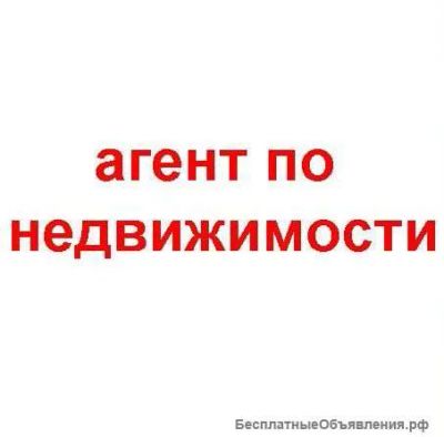 Лот: 10692440. Фото: 1. Агент-риэлтор. Другие (деловые услуги)