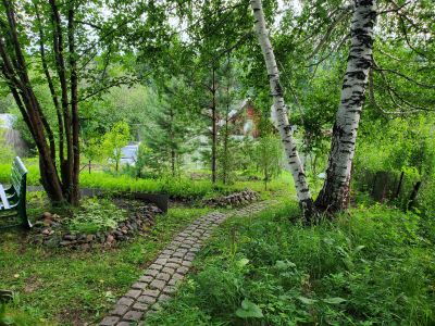 Лот: 20755953. Фото: 1. Продам дачу в лесу. Дачи