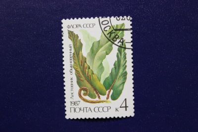Лот: 6855888. Фото: 1. Почтовая марка №4064 в коллекцию. Марки