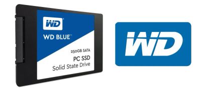 Лот: 20233645. Фото: 1. SSD накопитель WD Blue WDS250G2B0A... SSD-накопители