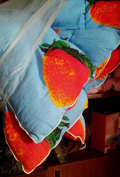 Лот: 3807420. Фото: 1. одеало. Одеяла, подушки