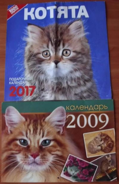 Лот: 10389550. Фото: 1. Календарь настенный Кошки и Котята... Календари