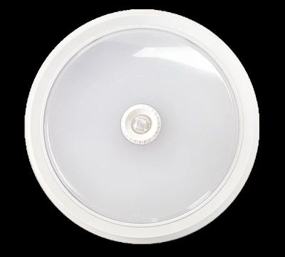 Лот: 8930164. Фото: 1. Светильник светодиодный СПБ-2Д... Другое освещение