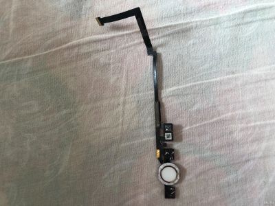Лот: 13621186. Фото: 1. Touch ID и шлейф с home iPad 2017... Шлейфы, разъёмы