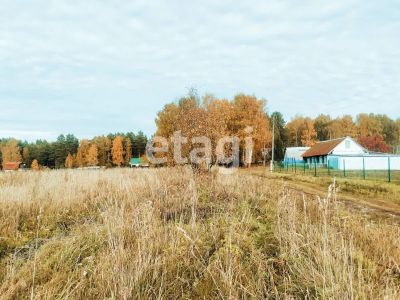 Лот: 25288366. Фото: 1. участок , деревня Подолка деревня... Земельные участки