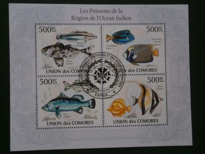 Лот: 9914295. Фото: 1. Марки, Рыбы, Коморские острова... Марки