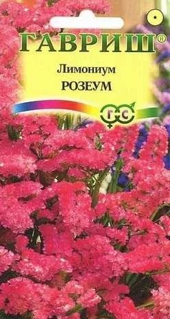 Лот: 11024359. Фото: 1. Лимониум Розеум супербум* 0,05... Садовые цветы