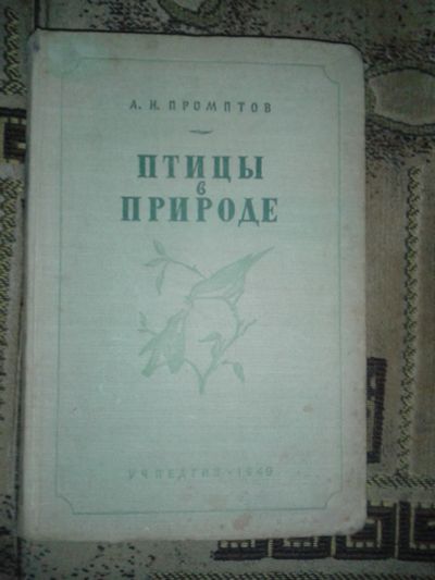 Лот: 18444135. Фото: 1. Птицы в природе. Промптов А.Н... Справочники