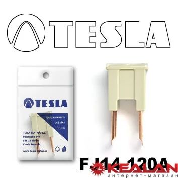 Лот: 8599296. Фото: 1. TESLA FJ14 120A предохранитель... Расходные материалы