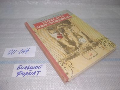 Лот: 25798009. Фото: 1. озю,вбр(00-044 )Бурное лето Пашки... Художественная