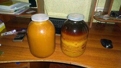 Лот: 8444244. Фото: 1. Мед. Мёд, продукты пчеловодства