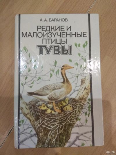 Лот: 13879407. Фото: 1. Редкие и малоизученные птицы Тувы... Художественная