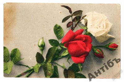 Лот: 5832500. Фото: 1. №89 открытка. Розы. 1910 г. Открытки, конверты