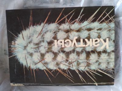 Лот: 19935738. Фото: 1. Книга кактусы. Книги для родителей