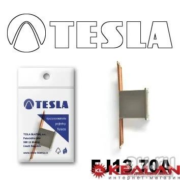 Лот: 8597919. Фото: 1. TESLA FJ13 70A предохранитель... Расходные материалы