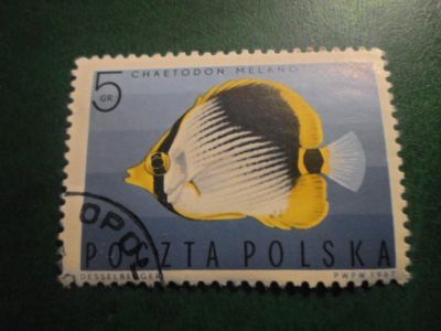 Лот: 18126457. Фото: 1. Марка для Вашей коллекции. №70360. Марки