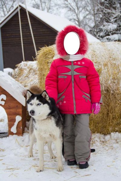 Лот: 6023873. Фото: 1. Продам зимний костюм на девочку... Верхняя одежда