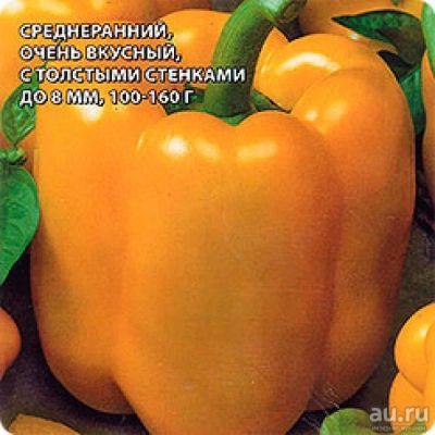 Лот: 9602063. Фото: 1. Рассада сладкого перца. Овощи