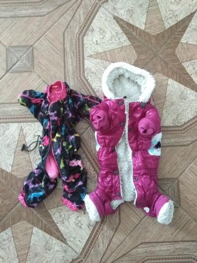 Лот: 12766856. Фото: 1. Куртки р12 зима ,осень. Ошейники, одежда, конное снаряжение