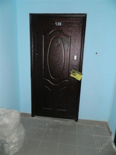 Лот: 2758247. Фото: 1. Дверь металлическая, с ручками... Двери входные