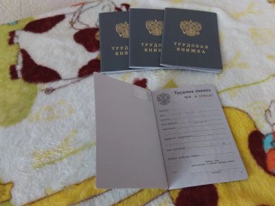 Лот: 16237877. Фото: 1. Трудовая книжка ТК - IV Цена за... Записные книжки, ежедневники, блокноты