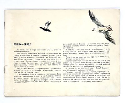 Лот: 25268877. Фото: 1. 📘 Виталий Бианки. Наши птицы... Познавательная литература