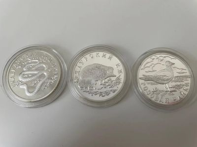 Лот: 19038537. Фото: 1. 1 Рубль Красная книга 1999 год... Россия после 1991 года