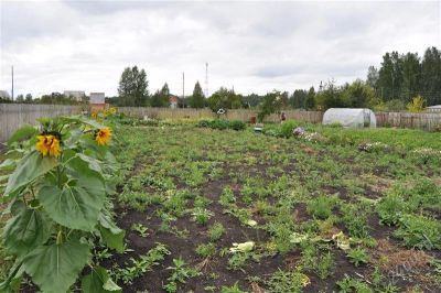 Лот: 1665716. Фото: 1. продам участок 12 соток! Енисейский... Дачи