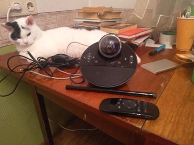 Лот: 16775676. Фото: 1. Веб-камера Logitech BCC950. Веб-камеры