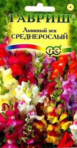 Лот: 11024355. Фото: 1. Львиный зев среднерослый*, смесь... Садовые цветы