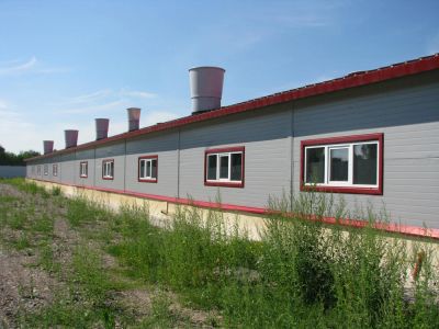 Лот: 6952993. Фото: 1. Свинарник. Другое (готовый бизнес)