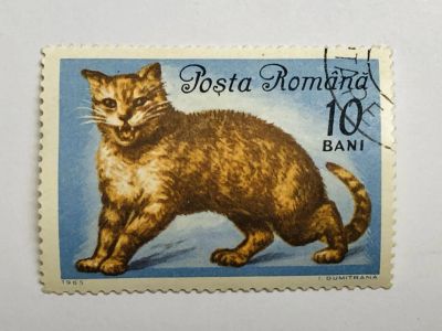 Лот: 23316507. Фото: 1. Животные. Домашние кошки. Рыжий... Марки