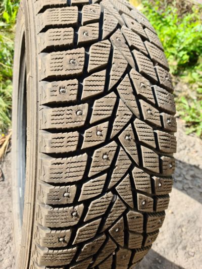 Лот: 16557532. Фото: 1. Шины Dunlop. Шины