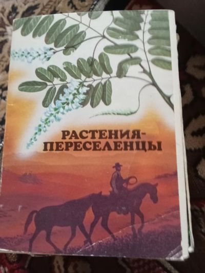 Лот: 25267254. Фото: 1. Набор открыток. Открытки, конверты