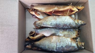 Лот: 20720752. Фото: 1. Пелядь холодного копчения -1кг... Икра, рыба, морепродукты