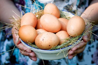 Лот: 11754433. Фото: 1. Яйцо домашнее куриное. Мясо, птица, яйцо