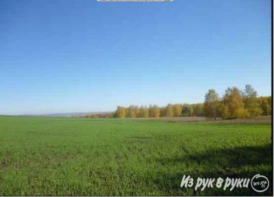 Лот: 4150179. Фото: 1. Земельный участок п.Емельяново. Земельные участки