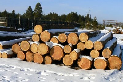 Лот: 9079952. Фото: 1. Куплю круглый лес. Древесина, пиломатериал
