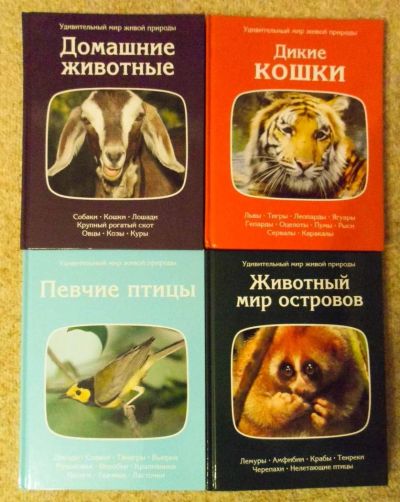Лот: 5812602. Фото: 1. Серия энциклопедий "Удивительный... Энциклопедии