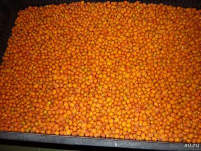 Лот: 8513218. Фото: 1. Продам облепиху!!!. Ягоды, орехи