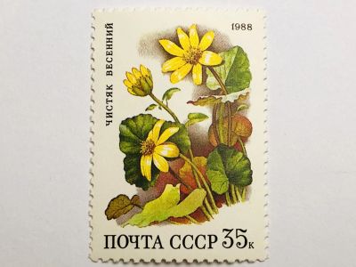 Лот: 23316441. Фото: 1. Цветы. Цветы лиственных лесов... Марки